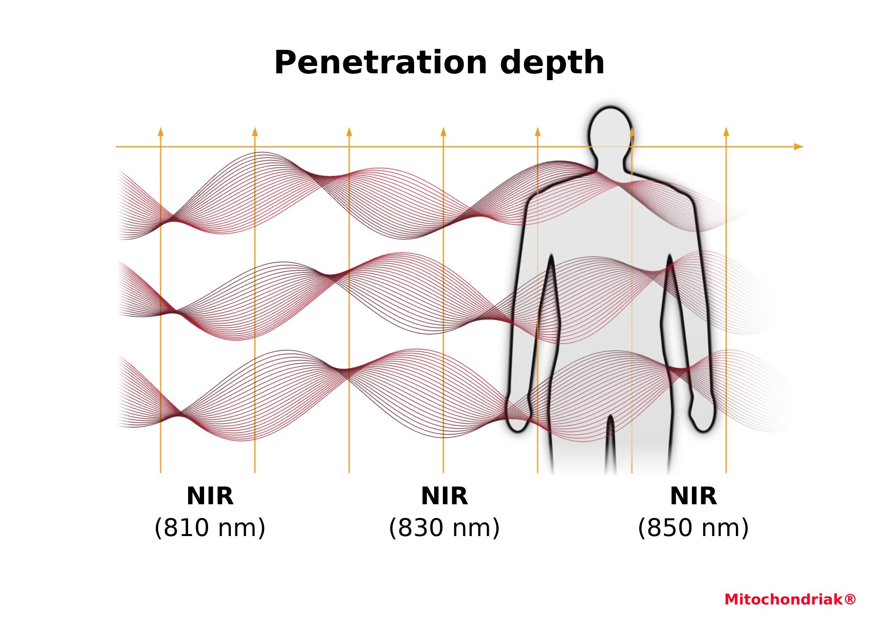 Maxi UVB, near-infrared NIR 760 to 850 nm, deep penetration into the tissues